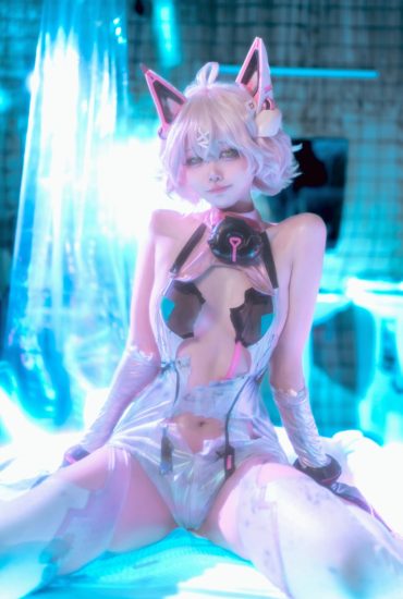 安食Ajiki NO.11 交错战线——绯猁[31P-357MB]-喵咪社